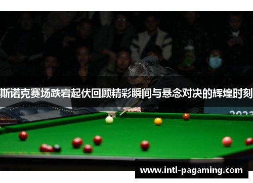 斯诺克赛场跌宕起伏回顾精彩瞬间与悬念对决的辉煌时刻 斯诺克赛场跌宕起伏回顾精彩瞬间与悬念对决的辉煌时刻