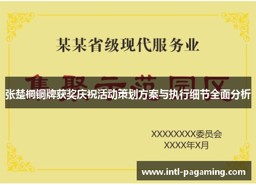 张楚桐铜牌获奖庆祝活动策划方案与执行细节全面分析 张楚桐铜牌获奖庆祝活动策划方案与执行细节全面分析