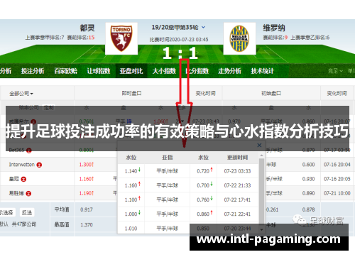 提升足球投注成功率的有效策略与心水指数分析技巧