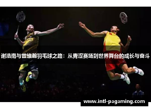 谢浩南与曾维瀚羽毛球之路：从青涩赛场到世界舞台的成长与奋斗